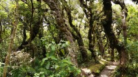 /album/fotogalerie-taranaki/nature-around-mount-taranaki-jpg/